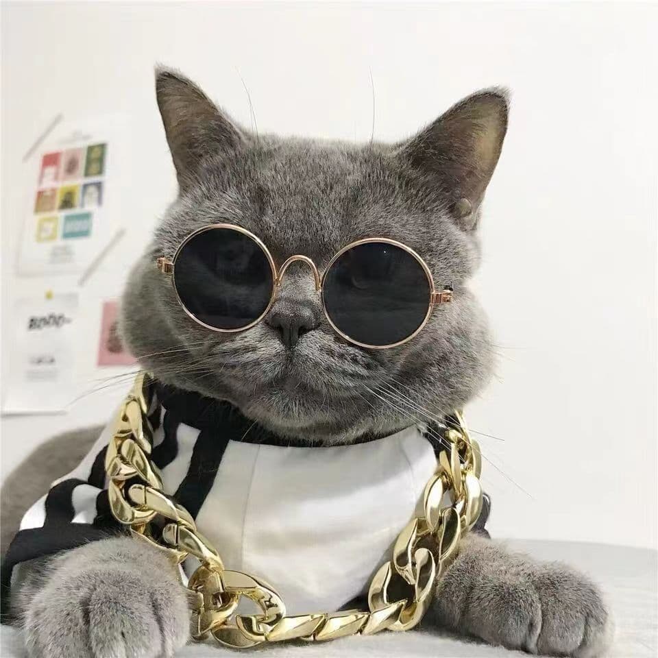 Manufacturer wholesale dog and cat pet glasses, creative trendy toy sunglasses, studio shooting props 2