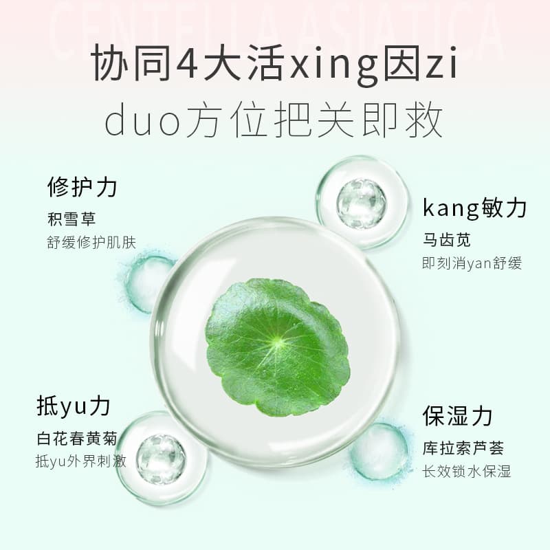 Beauty salon special skin filling lotion small molecule centella asiatica facial spa hydrating moisturizing skin care products large bottle cinema line 5