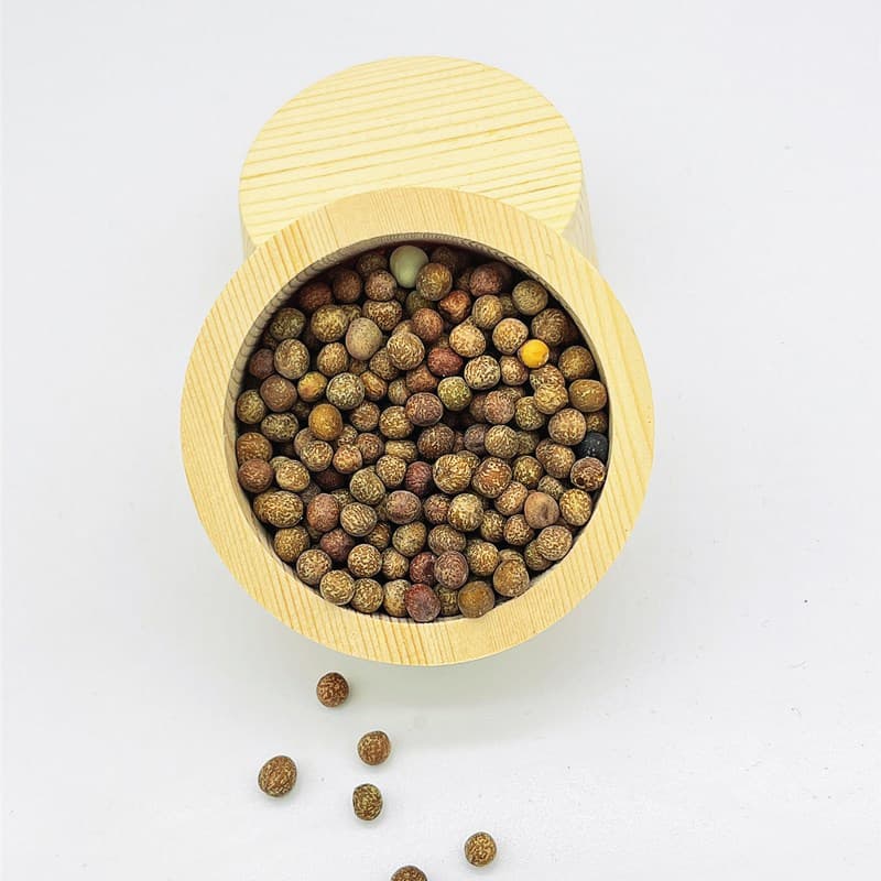 Parrot Bird Supplies Food Bowl Bird Cage Accessories Bird Food Basin Bird Tank Parrot Bird Breeding Supplies Accessories