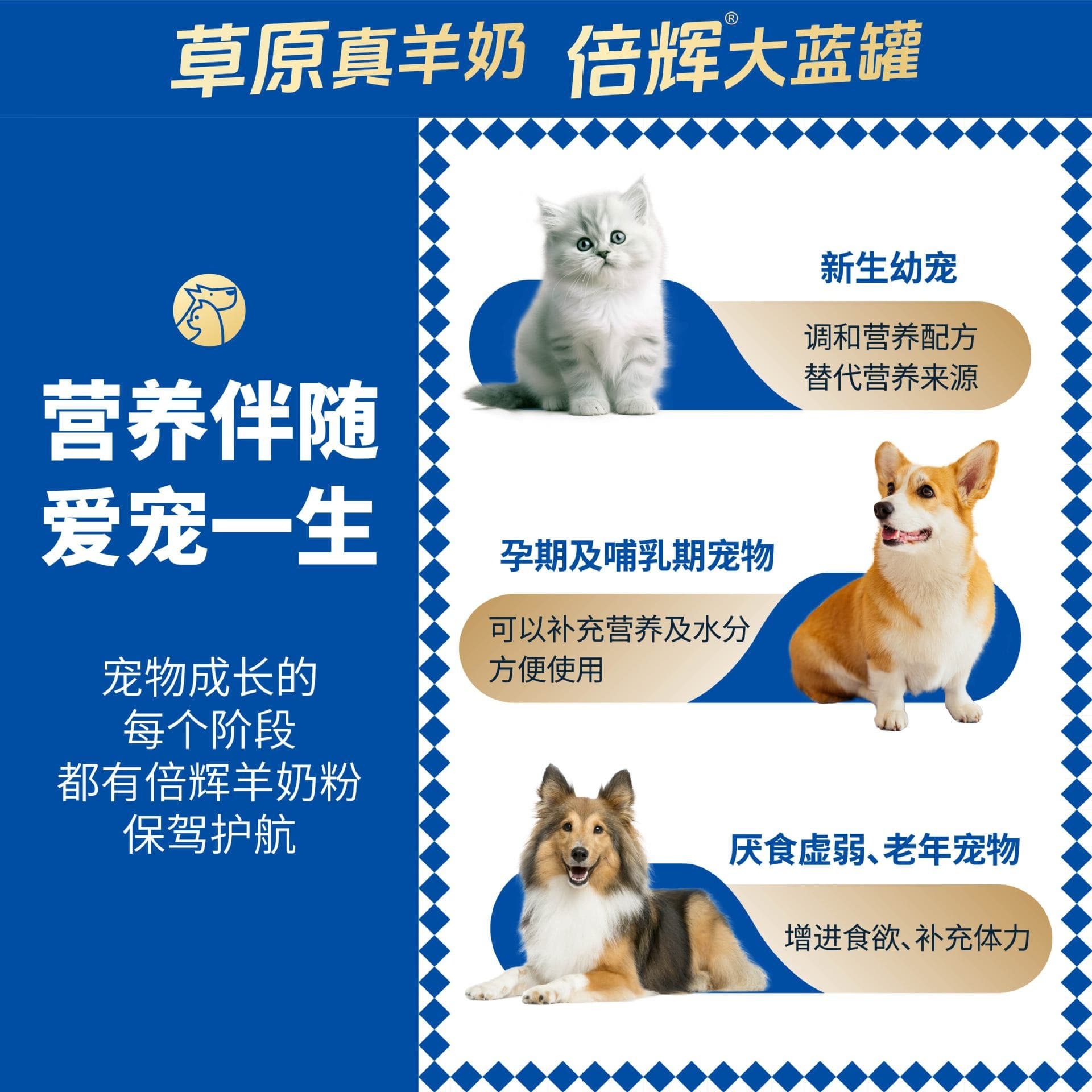 Beihui Formula Goat Milk Powder Pet Nutritional Supplements Kittens and Puppies Milk Powder for Cats and Dogs 3