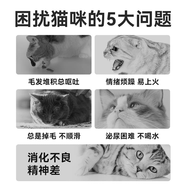 Laughing Pet Staple Food Cat Bars Cat Food Cat Meal Pack Snacks Chicken Breast Wet Food Adult Cats and Kittens Universal One Piece Dropshipping 5