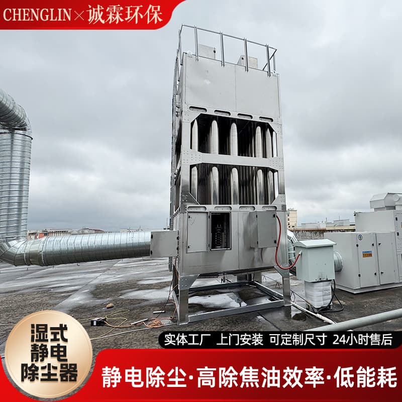 Electric tar trap desulfurization and denitrification industrial boiler black and white oil flue gas dust removal equipment wet electrostatic precipitator 5