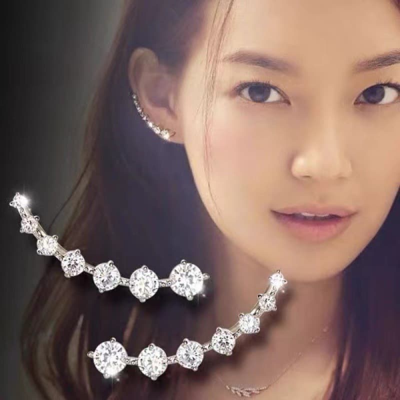 Cross-border Big Dipper zircon earrings, light luxury and high-end diamond earrings, caterpillar earrings, Yiwu jewelry wholesale 2