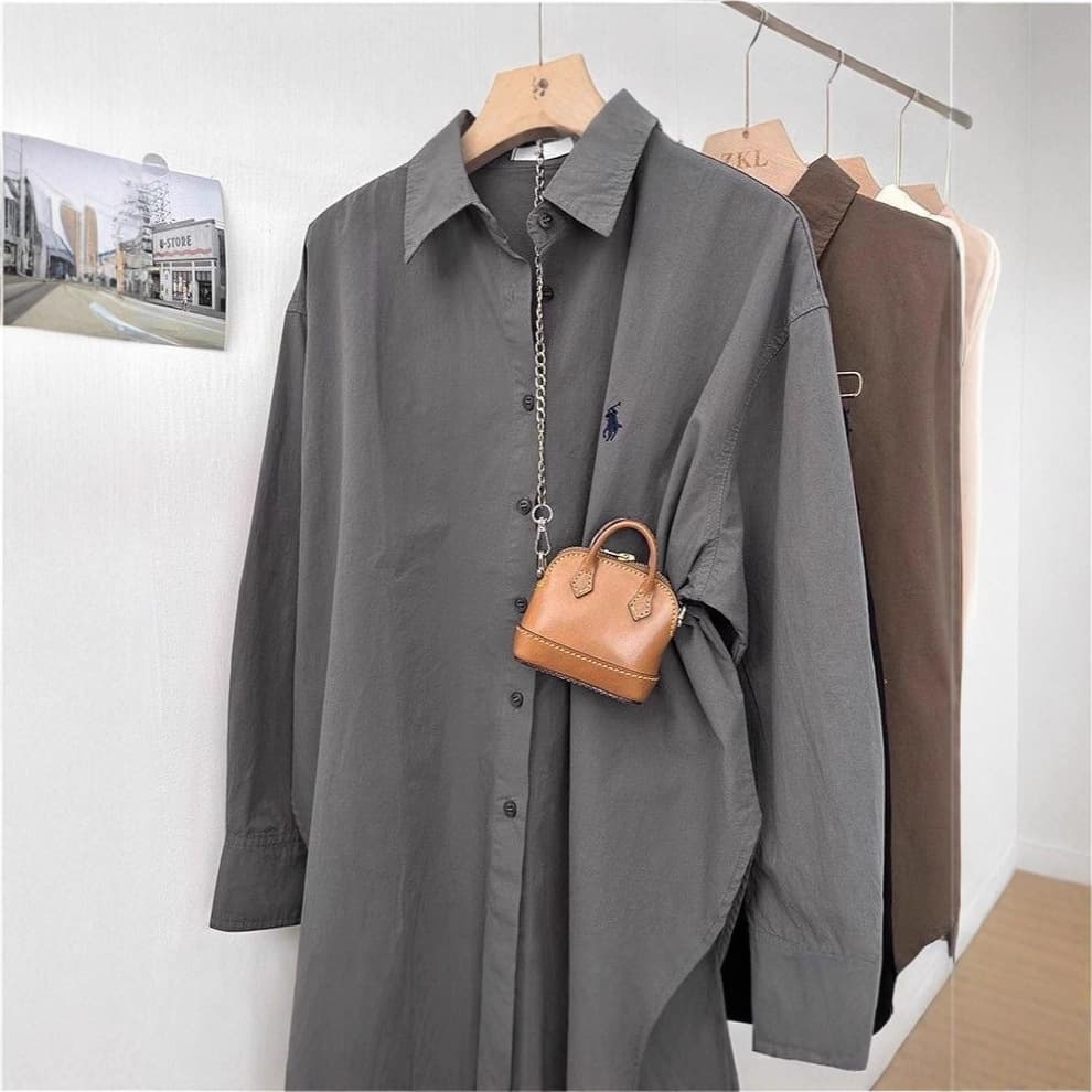 Pony embroidered shirt for women loose Korean style simple high-end design commuting shirt fashionable casual long-sleeved top 3