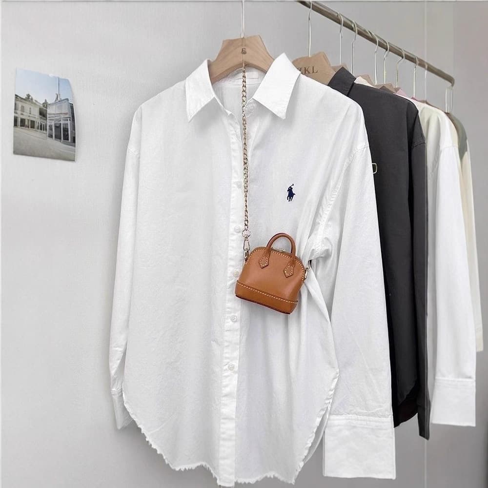 Pony embroidered shirt for women loose Korean style simple high-end design commuting shirt fashionable casual long-sleeved top 4