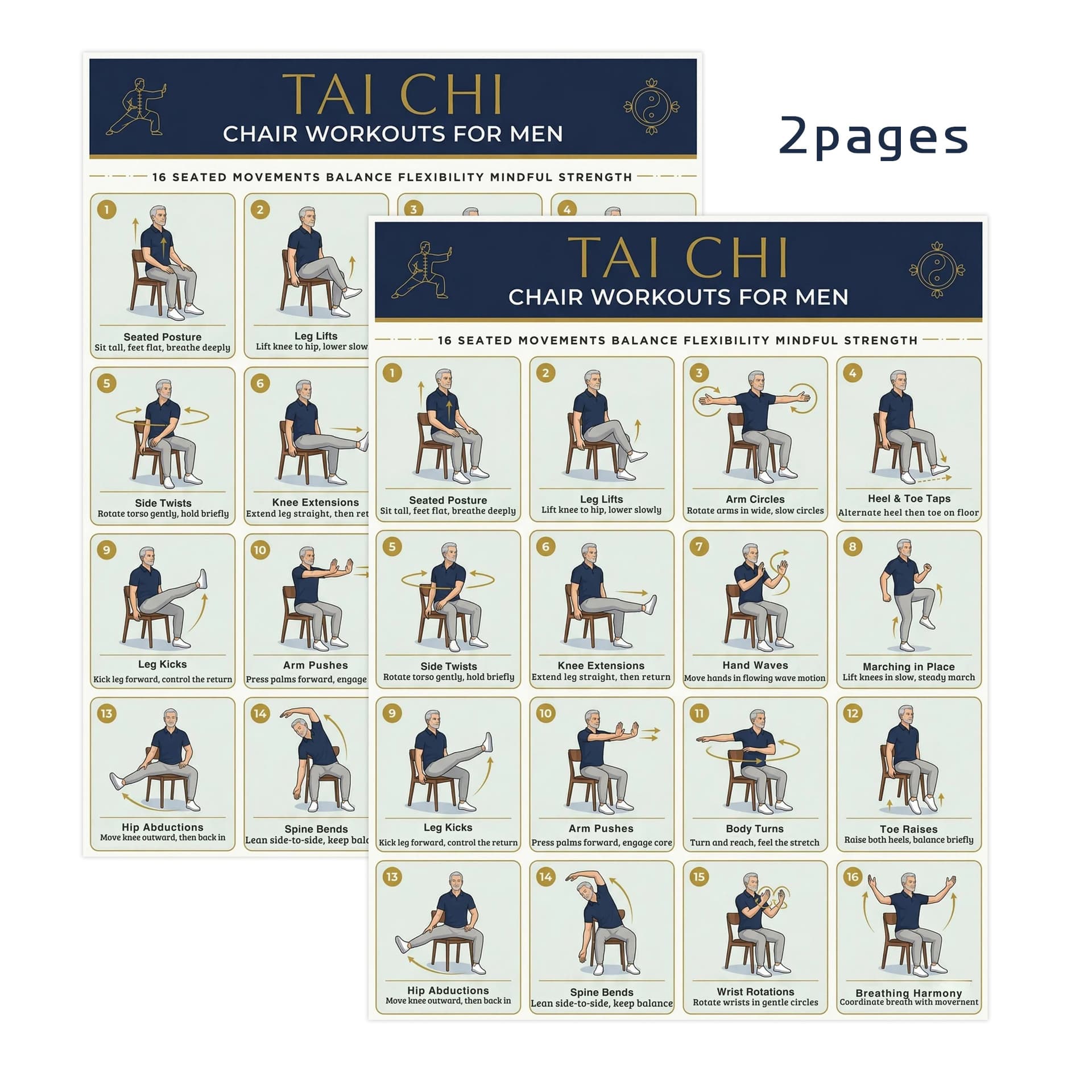 Tai Chi Chair Sitting Exercise Poster for Seniors YG-260 5