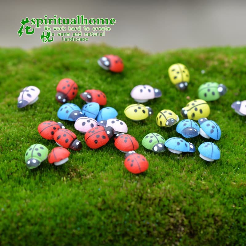 Micro -landscape ornament accessories, succulent ornament jewelry, wooden crafts, beetle, seven -star ladybugs and ladybugs 3