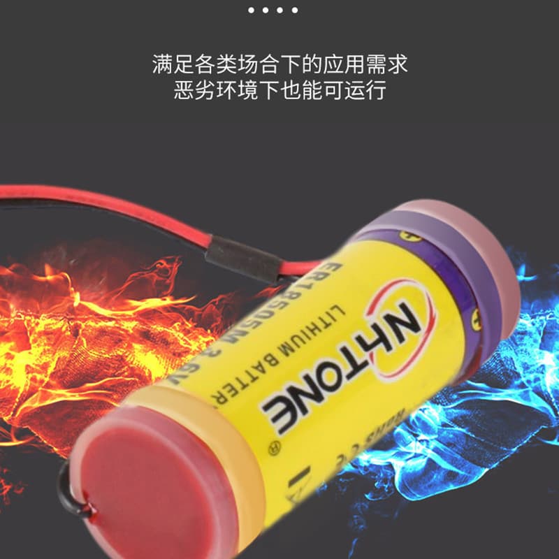 Smart battery, flowmeter, 6v, 18505m, (Physicals) 3