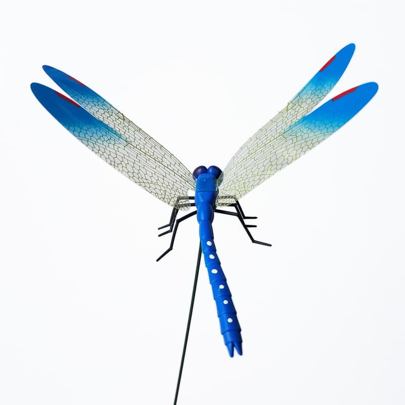 Simulation Dragonfly Home Decoration Wall Patch Background Garden Vase Flower Pot Garden Art Decoration Color Poor Pingli Dragonfly 8
