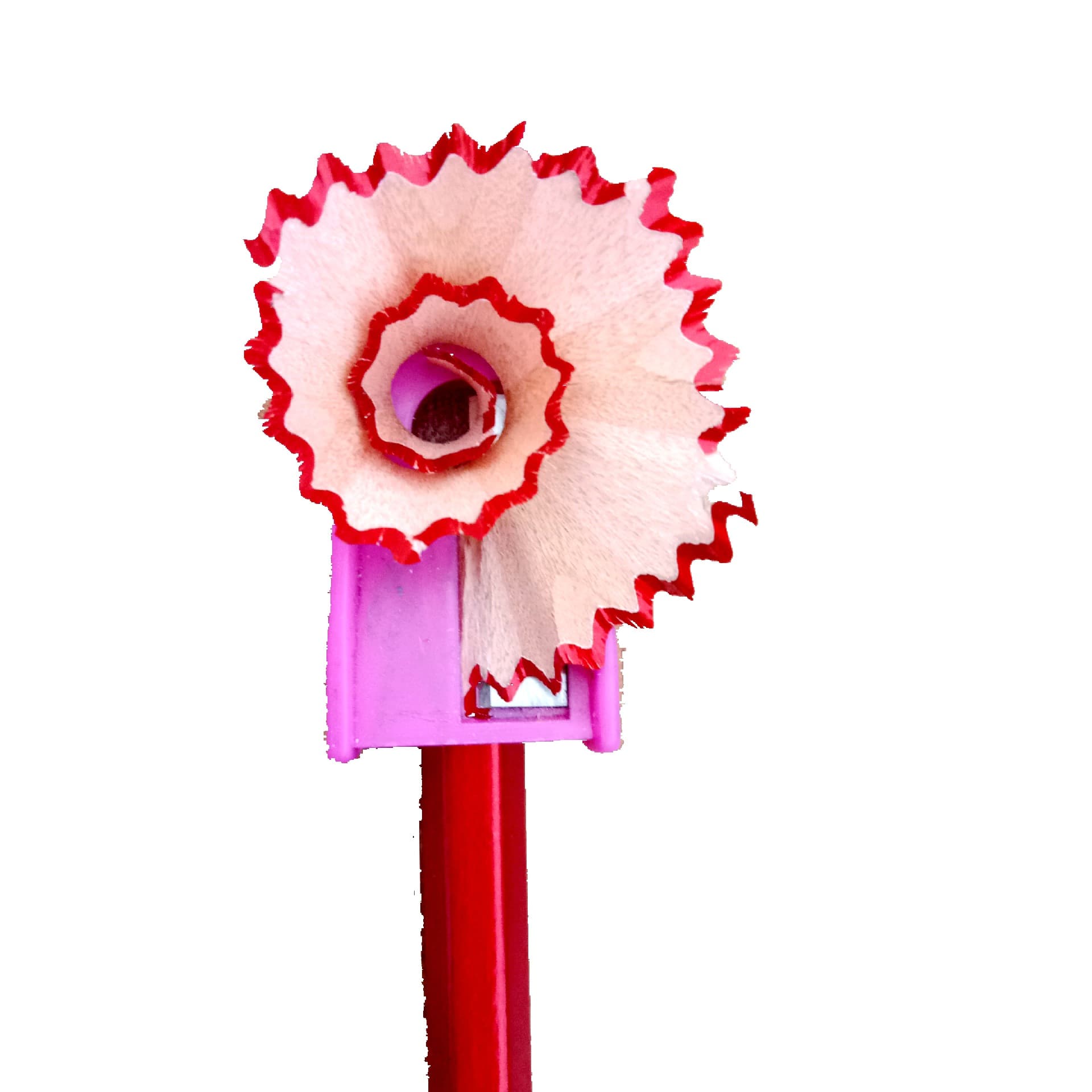 (Wholesale), red pencil, eraser, waist belt for students, 10 pieces, with your logo imprint 4