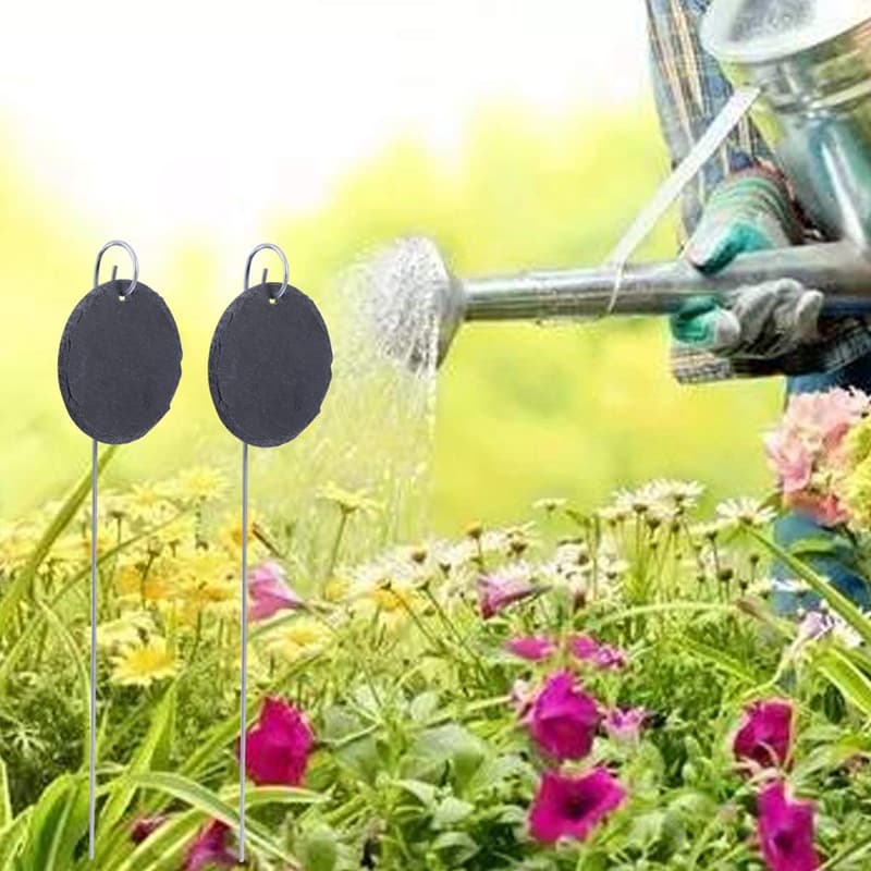 Manufacturer supply gardening and flower label plant tag fruit tree tags stainless steel pendant label flower card 4