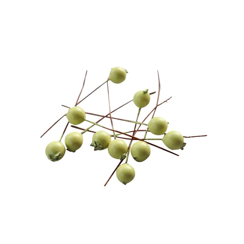 Simulation plant crafts Creative immortal flowers Simulation blueberry berry caryopsis Home decoration wedding supplies 5
