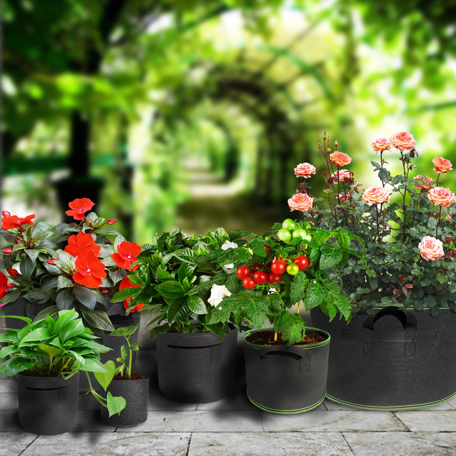 Cross -mirror plant bag Grow Bag Planting Black non -woven measuring bagbagsbuilding bag growing bags for seedling pots 3