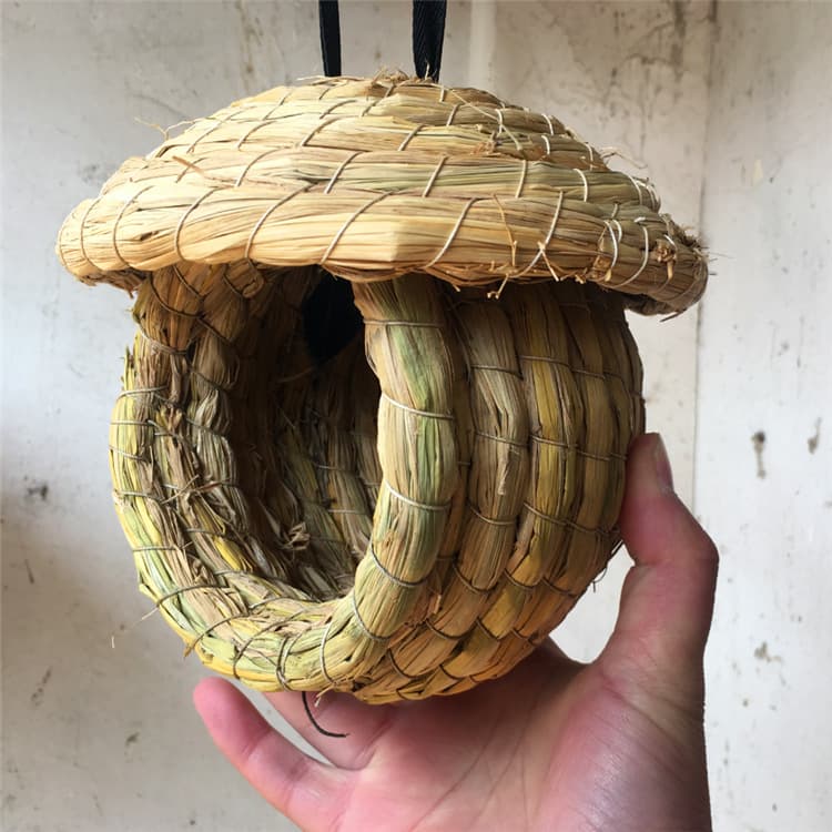 Bird's Nest Cao Ni Tiger Pippeed Parrot Peony Parrot Gray Bird Hibiscus Bird Bird Pearl Bird Bird Nest 2
