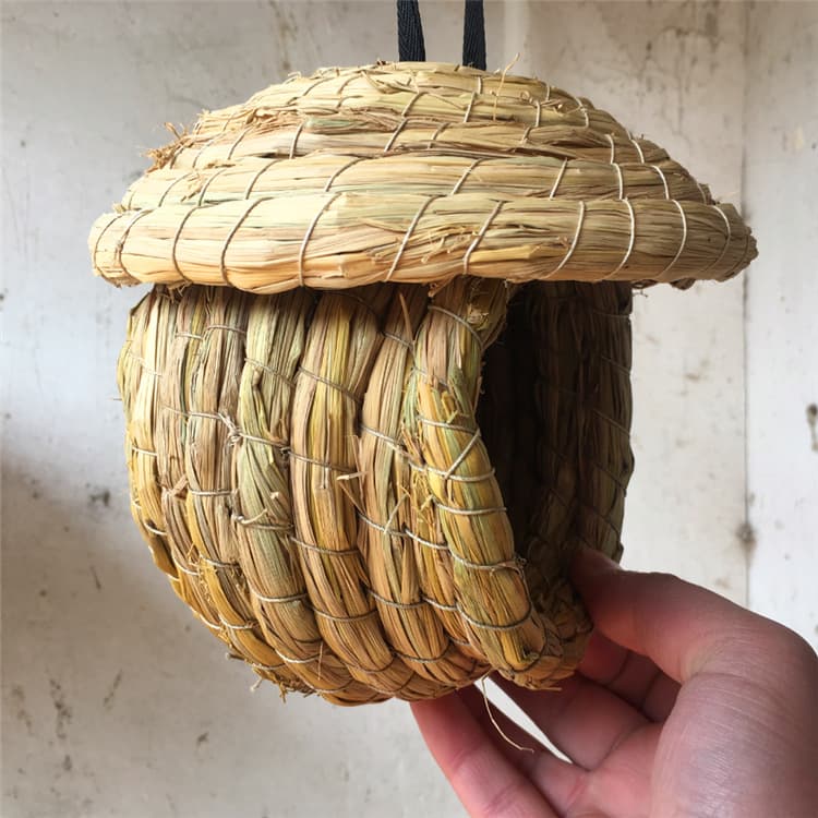 Bird's Nest Cao Ni Tiger Pippeed Parrot Peony Parrot Gray Bird Hibiscus Bird Bird Pearl Bird Bird Nest 3