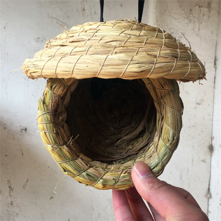 Bird's Nest Cao Ni Tiger Pippeed Parrot Peony Parrot Gray Bird Hibiscus Bird Bird Pearl Bird Bird Nest 4