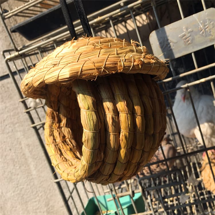 Bird's Nest Cao Ni Tiger Pippeed Parrot Peony Parrot Gray Bird Hibiscus Bird Bird Pearl Bird Bird Nest 5