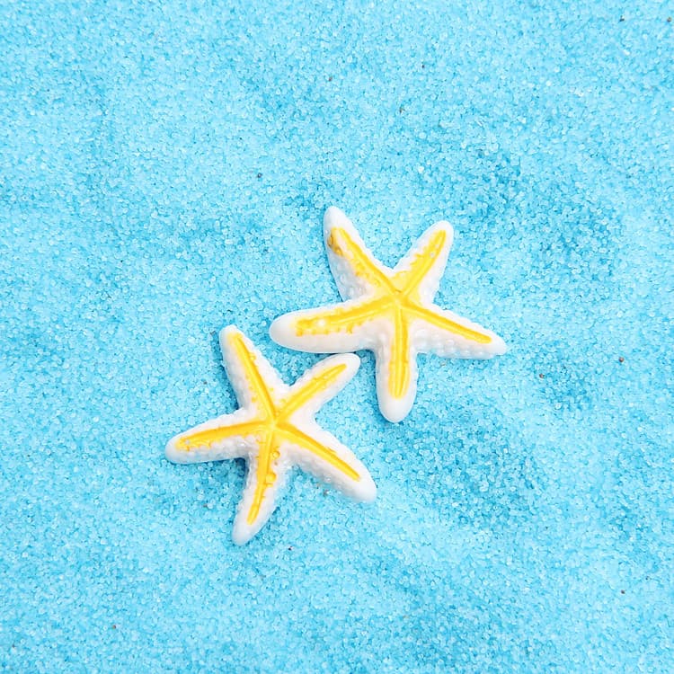 Marine accessory with accessories, swimming ring, slime, photo frame, starfish, DIY 4