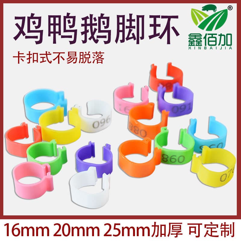 Poultry Leg Band Ring - Chicken, Duck, Goose, Pigeon