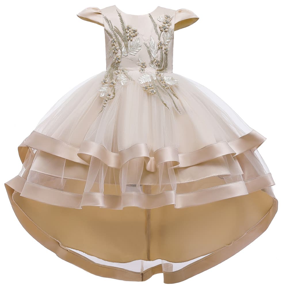 (Cross-border trading), small princess costume, wedding dress, evening dress, skirt, with embroidery 5