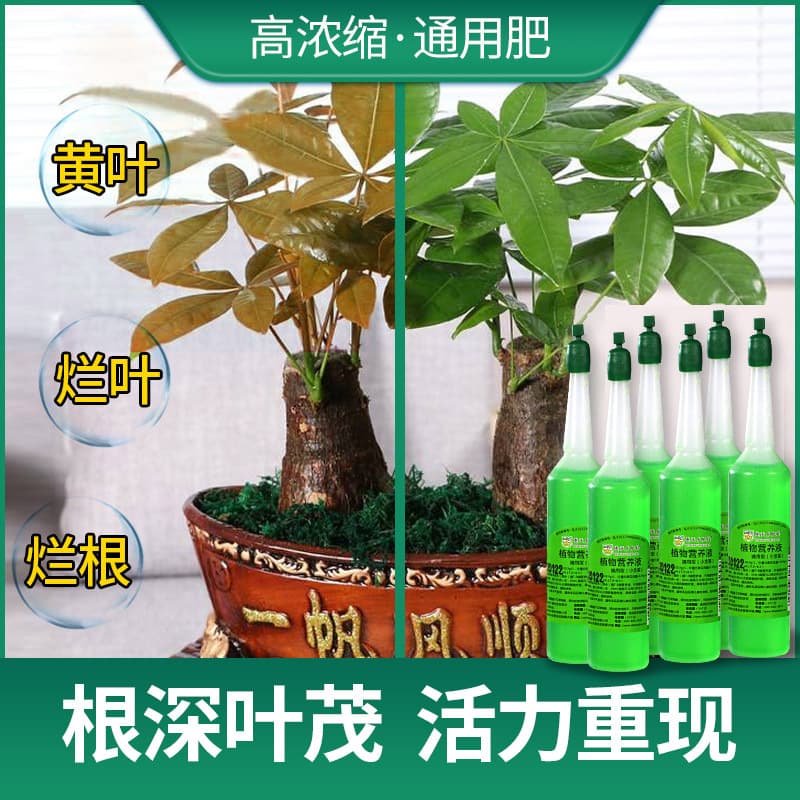 Universal Plant Nutrient Solution - Flowers, Succulents & Leafy Greens 2