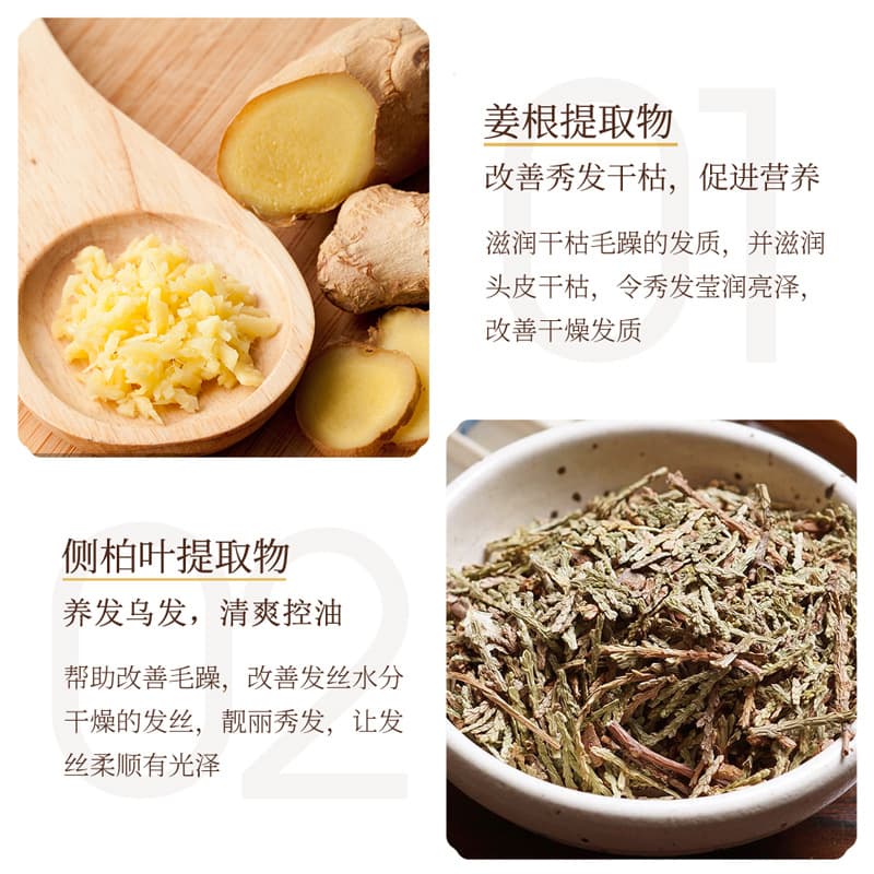 Ginger Nutritious Medical Conditioner for Curly Hair 3