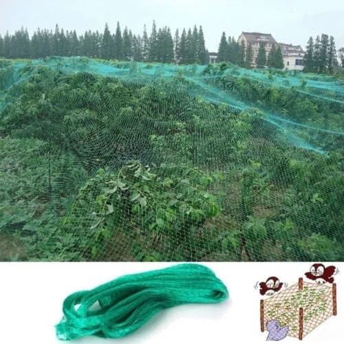Anti -Bird Network Garden Garden Fruit Garden Anti -Bird Network Polyetry Bird Fang Bird Facting Web Capsule Grape Green Anti -Bird Network 5