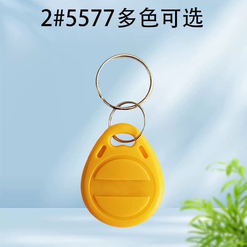 Id125 card can be copied card T5577id card 5200 keychain card copy card access card factory direct sale 2