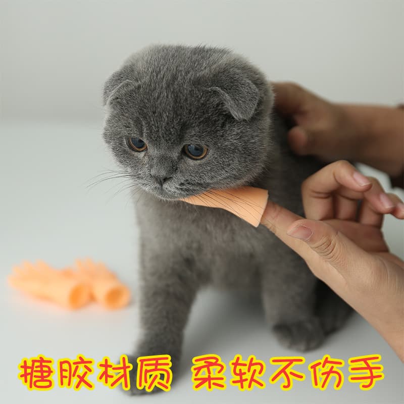 (Wholesale), toy, plastic creative gloves, hands model, pet 3