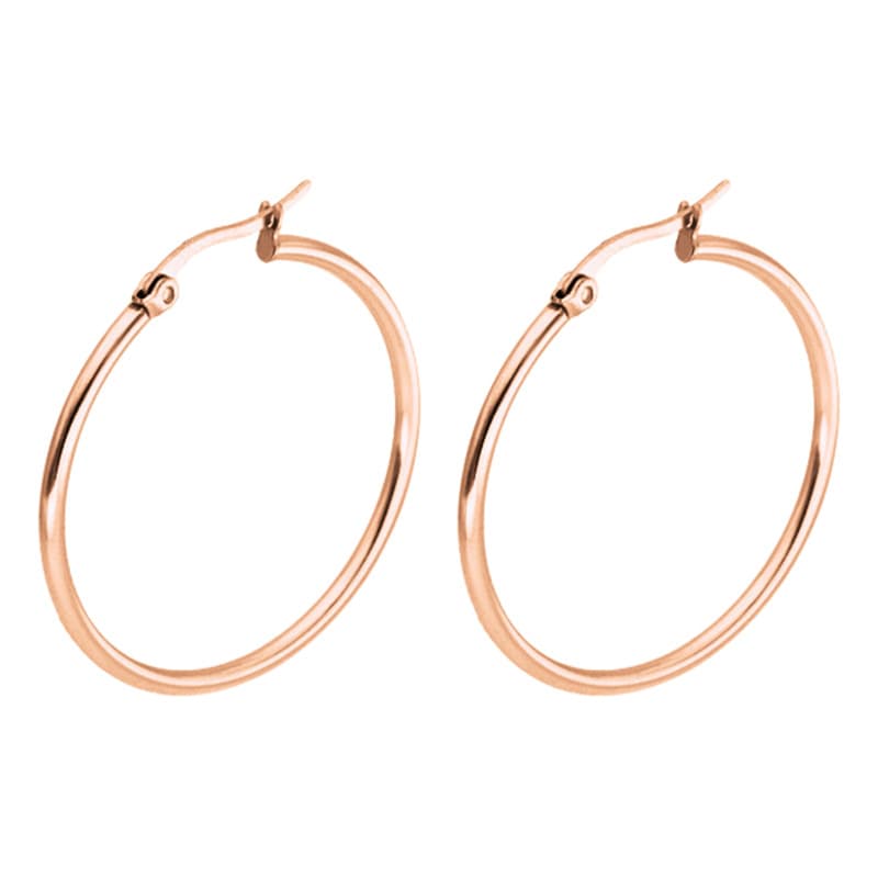 Fashionable earrings stainless steel, accessory, European style 3