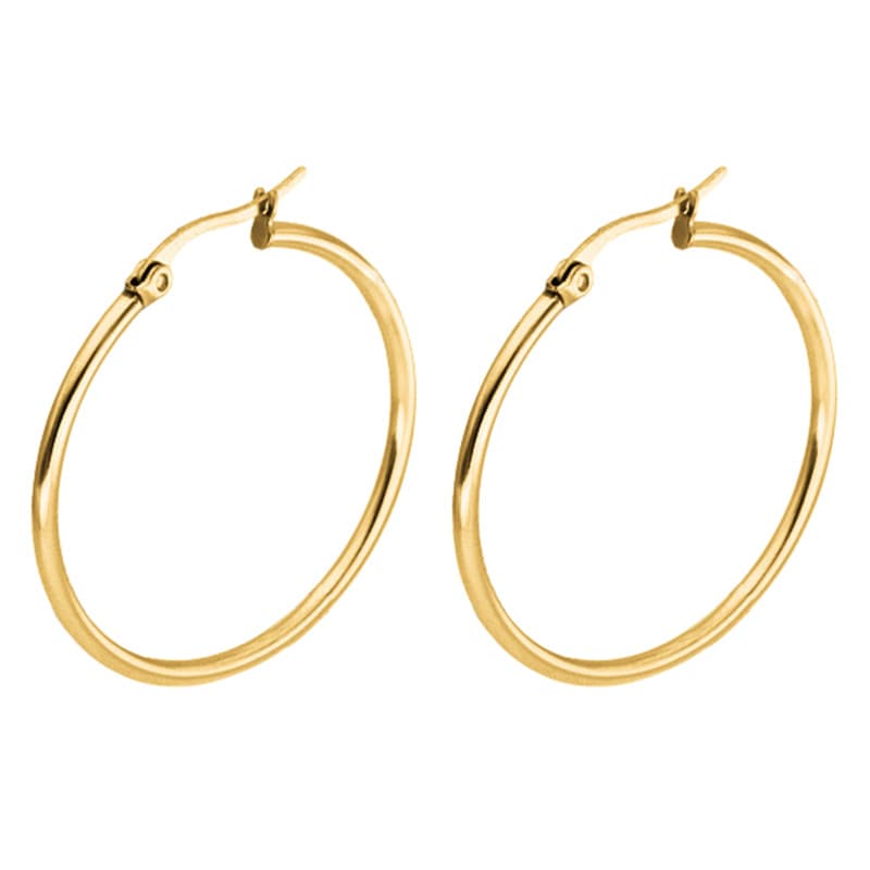 Fashionable earrings stainless steel, accessory, European style 4