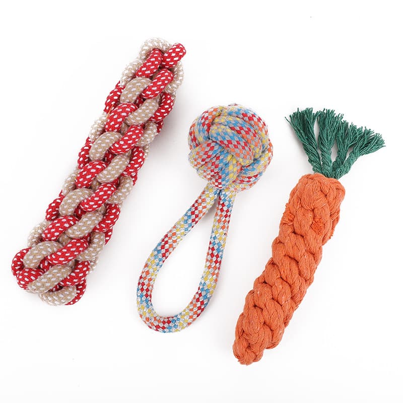 Toy, carrot frisbee, pet 5