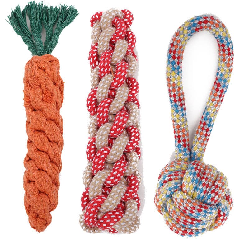 Toy, carrot frisbee, pet