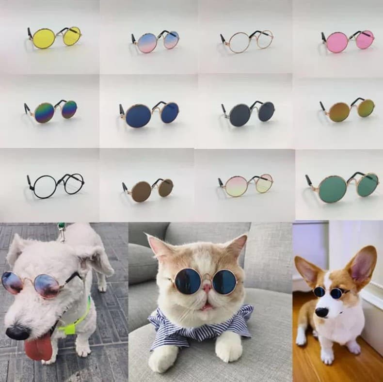 Glasses, sunglasses, trend accessory, UV protection, eyes protection 5