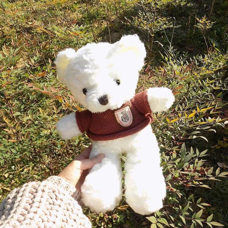 (Wholesale), cute plush toy, rag doll, with little bears, Birthday gift 3