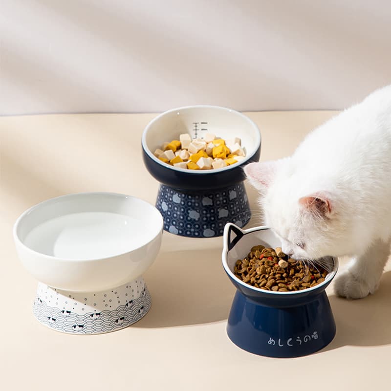 Japanese and wind ceramic cat bowl double bowl of potted bowl bowl cats drink water bowl to protect cervical cervical cat drinking water pet supplies 4