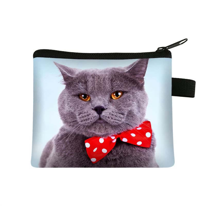 Cute children's wallet, handheld card holder, coins for keys, organizer bag, small clutch bag, polyester 3