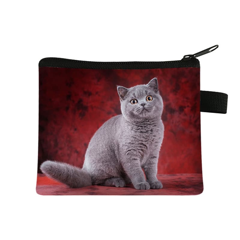 Cute children's wallet, handheld card holder, coins for keys, organizer bag, small clutch bag, polyester 5