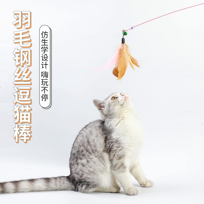 (Wholesale), changeable steel wire, toy, (Physicals), pet, cat 2
