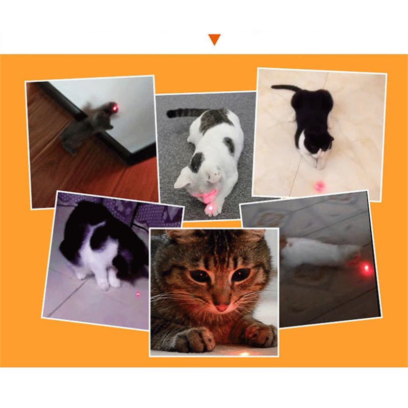 Toy, lamp with laser, (Physicals), new collection, pet, cat 3