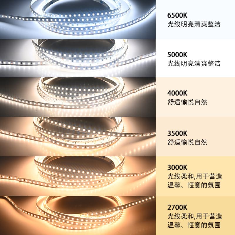 (Wholesale), LED light strip, self-adhesive atmospheric lamp, 24v, comfortable light spectrum, 8mm 2