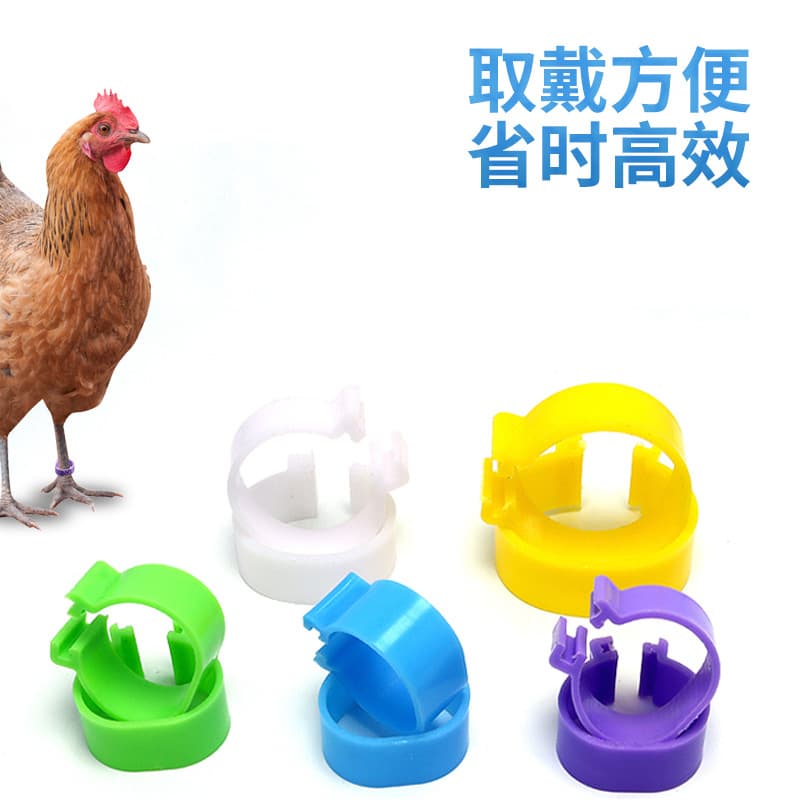 (Cross-border trading), plastic ankle bracelet 5