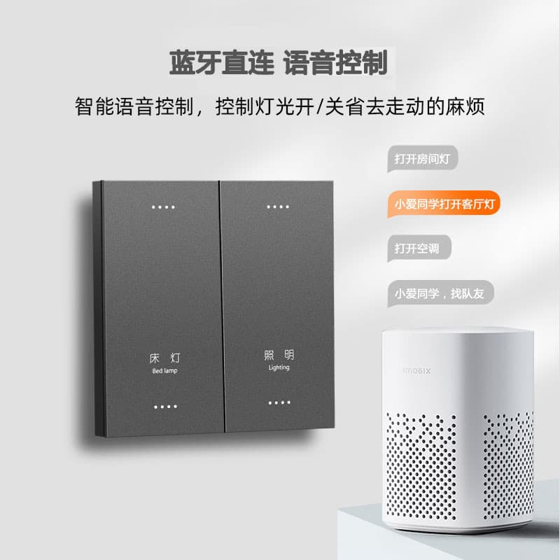 Smart switch key, light panel, voice control 2