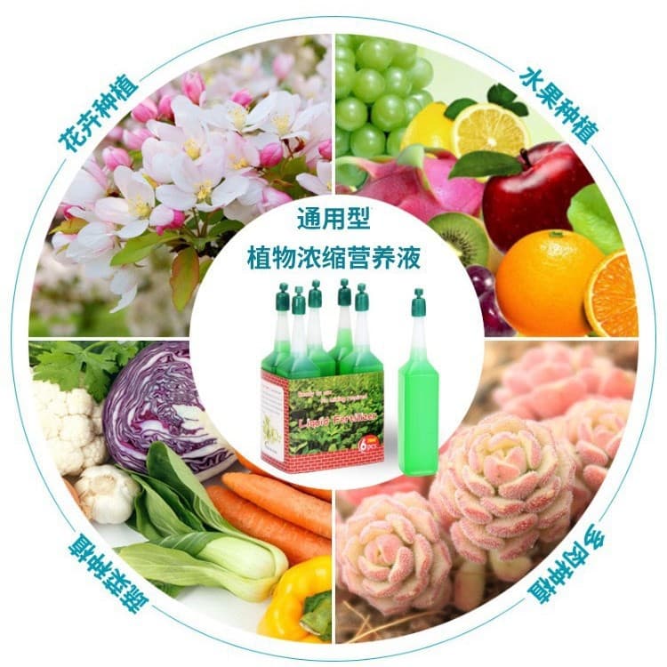 Wholesale plant nutrient solution universal flower green plant liquid fertilizer hydroponic leaf surface fat rich bamboo nutrition solution 4