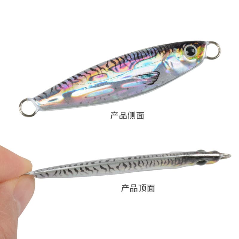 3D Print Quick Falling Falling Tieni Road Asian Fake Bait Sea Fishing Favorite Fishing Corium 10g20g30G60G60G Small Lead Fish 3