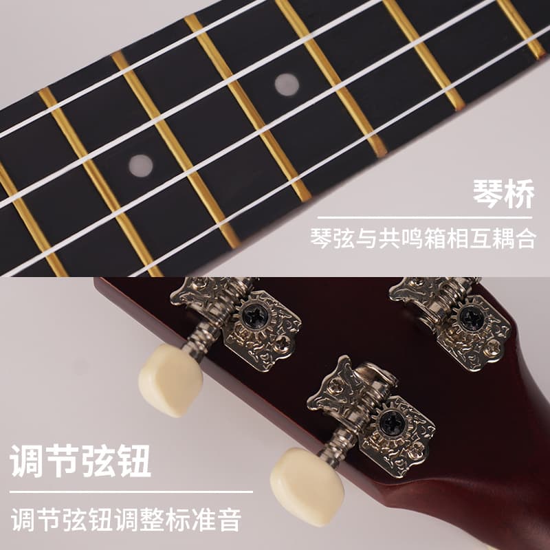 Small ukulele with a score for beginners, guitar, musical instruments, 21 inch, early education 4