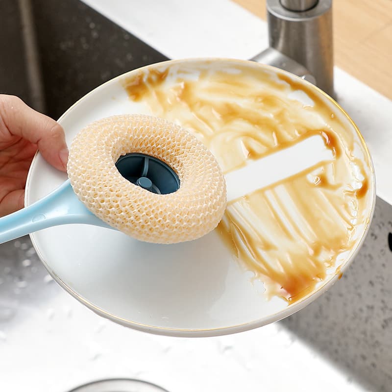 Sponge hygienic harmless brush, (Physicals) 4