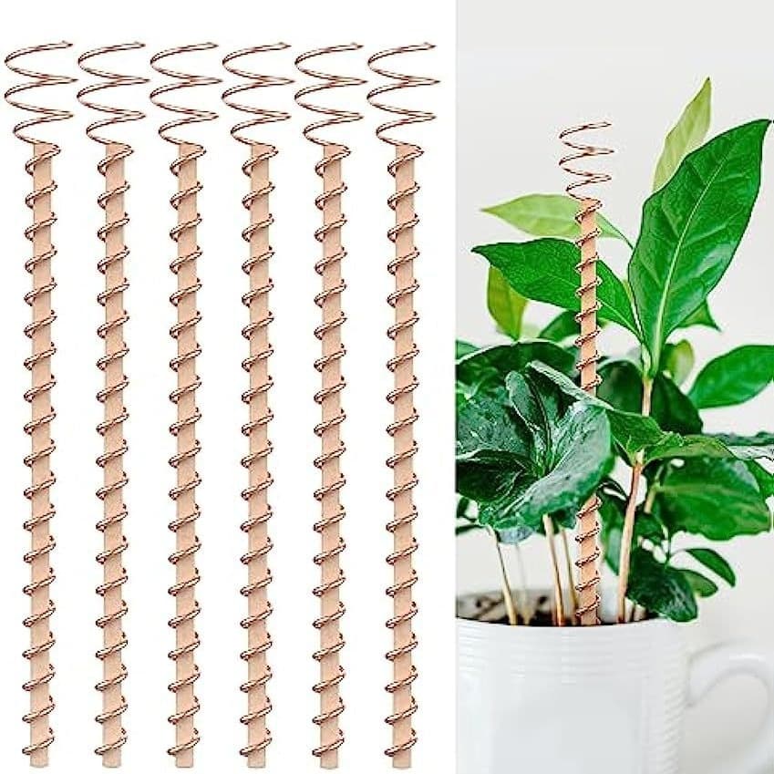 Copper coil antenna plant pile power training garden planting garden plant and vegetable Electroculture