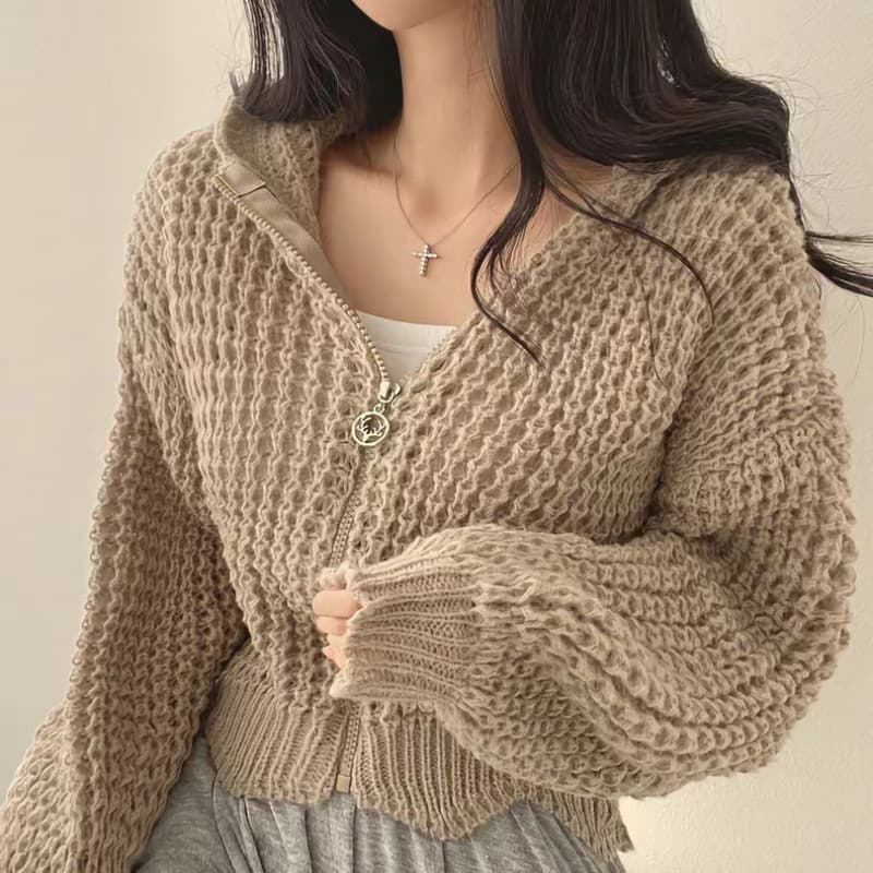 Demi-season hoody, cardigan, shirt, sweater with zipper, jacket, 2023, Korean style, casual style 4