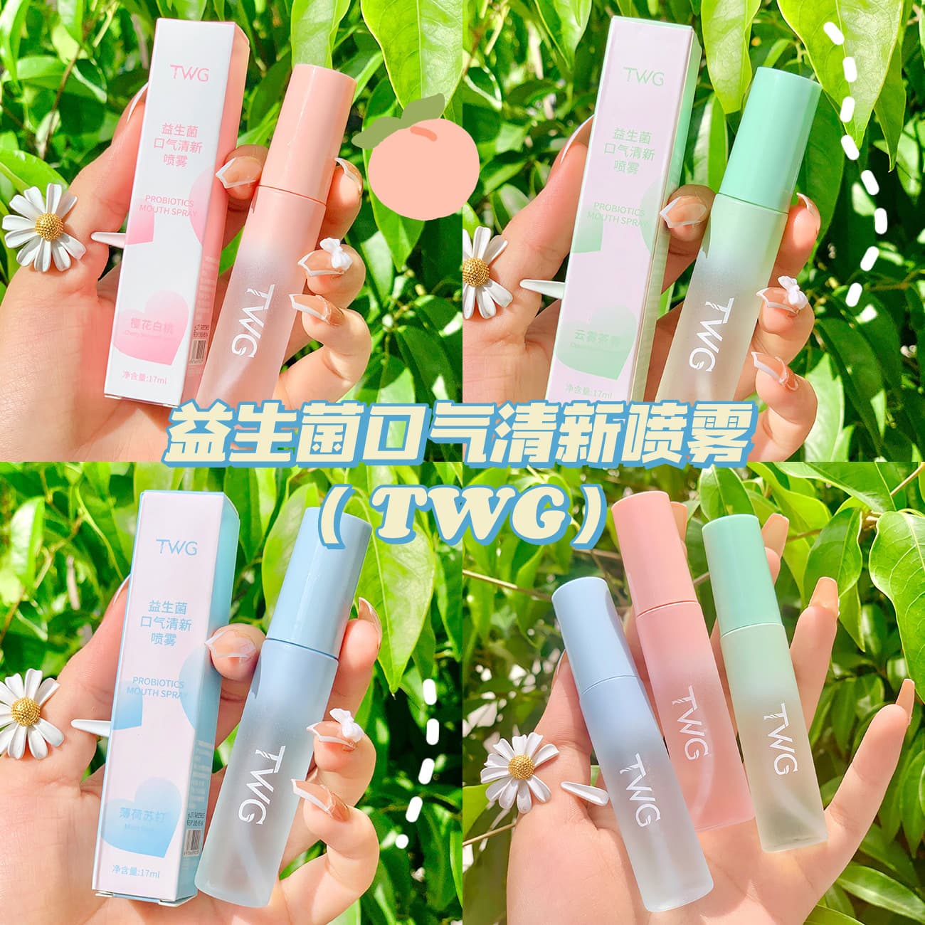 TWG Probiotic, fresh mint handheld spray 4